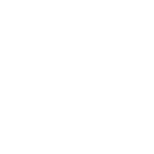 WhatsApp Icon